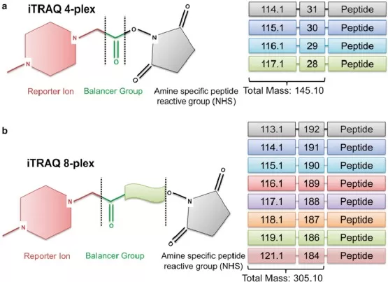 The structure of Itraq reagents